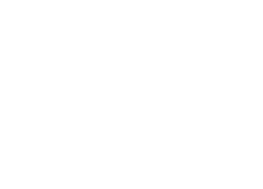 MAYTRONICS_Marca_Partner_Pisciblue