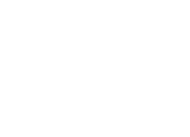PSGROUP_Marca_Partner_Pisciblue
