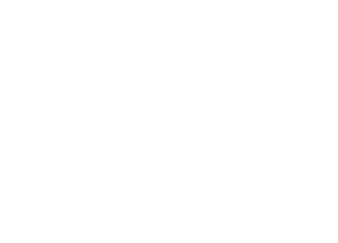 SINED_Marca_Partner_Pisciblue