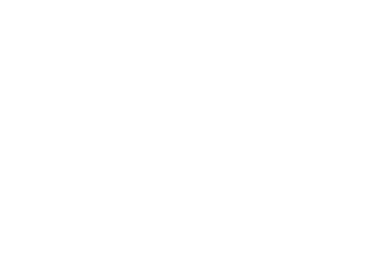 POOLINS-Marca-Partner-Pisciblue